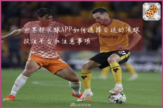世界杯买球APP如何选择合适的滚球投注平台和注意事项