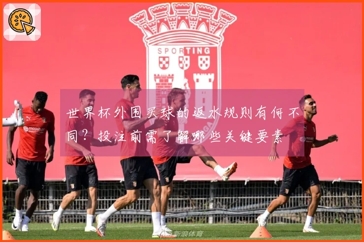 世界杯外围买球的返水规则有何不同？投注前需了解哪些关键要素