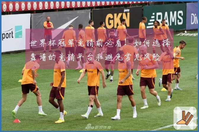 世界杯冠军竞猜前必看！如何选择靠谱的竞猜平台和避免常见风险
