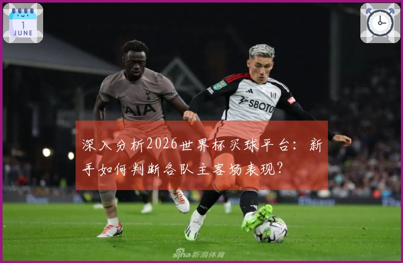 深入分析2026世界杯买球平台：新手如何判断各队主客场表现？