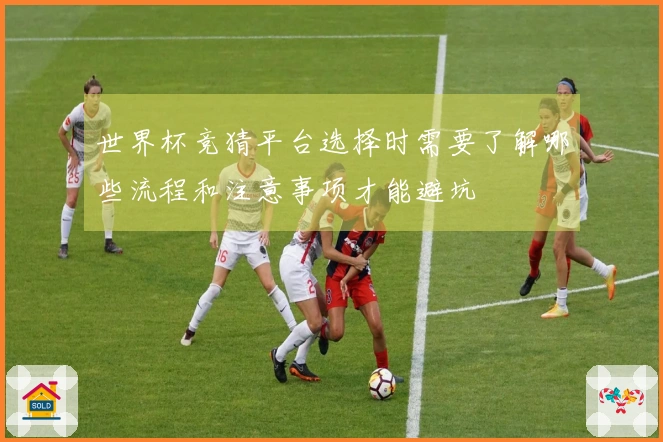 世界杯竞猜平台选择时需要了解哪些流程和注意事项才能避坑