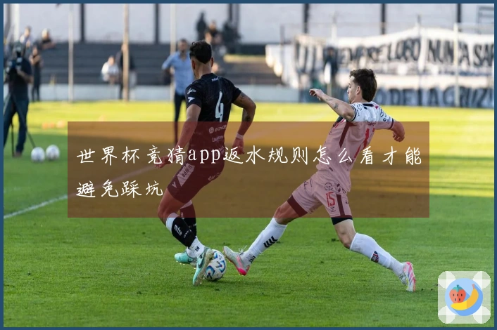 世界杯竞猜app返水规则怎么看才能避免踩坑