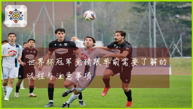 世界杯冠军竞猜跟单前需要了解的流程与注意事项