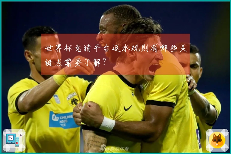 世界杯竞猜平台返水规则有哪些关键点需要了解？