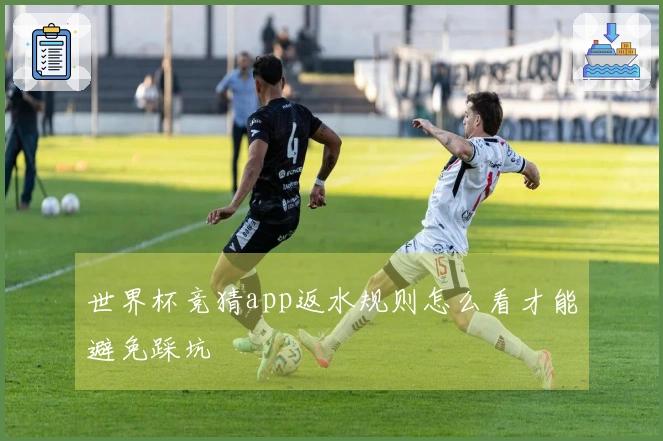 世界杯竞猜app返水规则怎么看才能避免踩坑