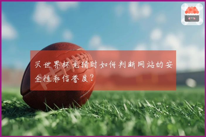 买世界杯竞猜时如何判断网站的安全性和信誉度？