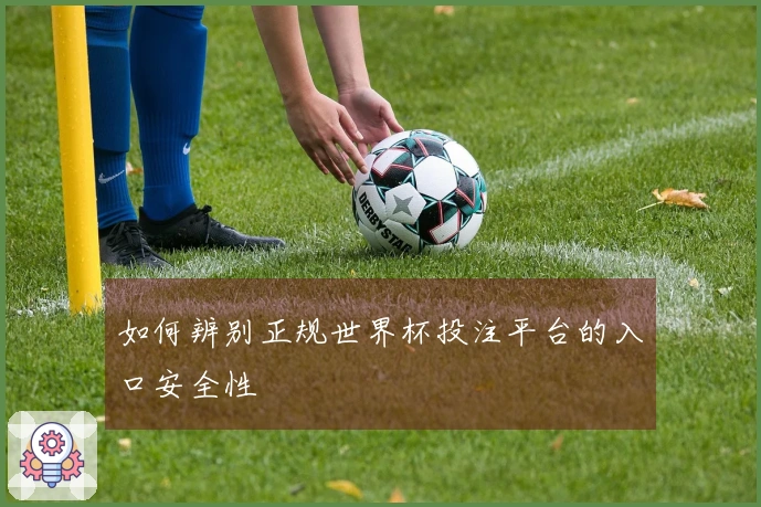 如何辨别正规世界杯投注平台的入口安全性