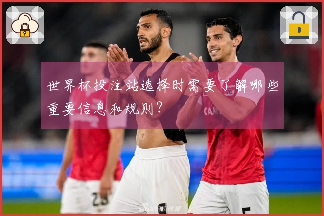 世界杯投注站选择时需要了解哪些重要信息和规则？