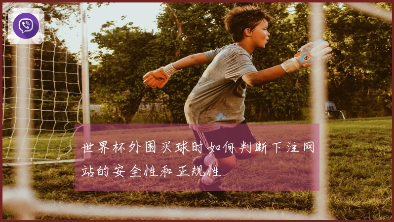 世界杯外围买球时如何判断下注网站的安全性和正规性