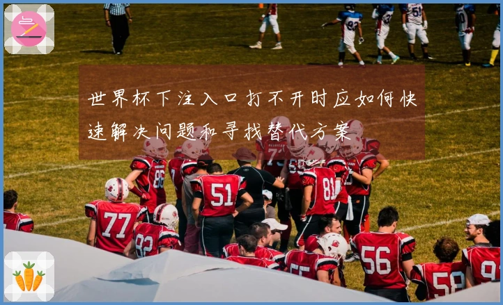 世界杯下注入口打不开时应如何快速解决问题和寻找替代方案