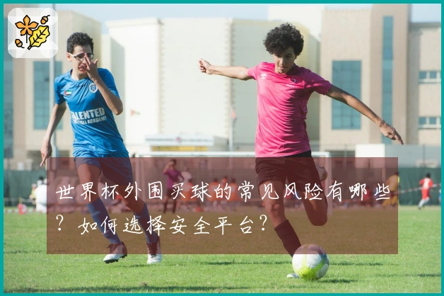 世界杯外围买球的常见风险有哪些？如何选择安全平台？