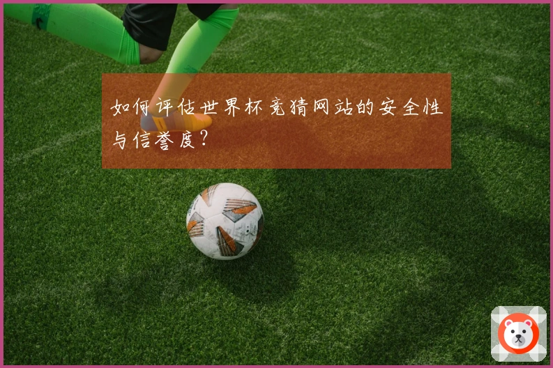 如何评估世界杯竞猜网站的安全性与信誉度？