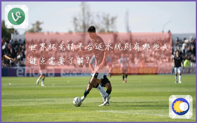 世界杯竞猜平台返水规则有哪些关键点需要了解？