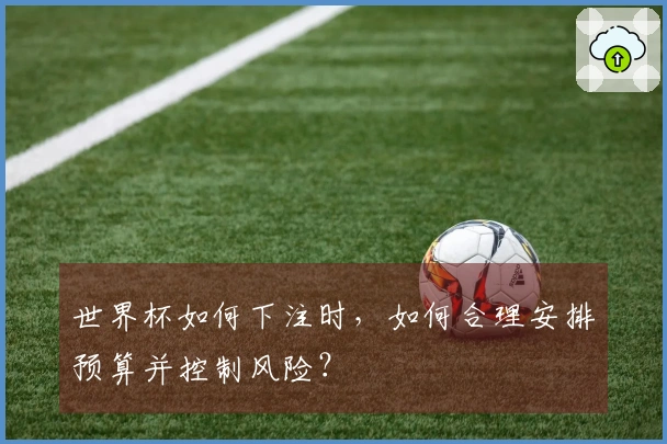 世界杯如何下注时，如何合理安排预算并控制风险？