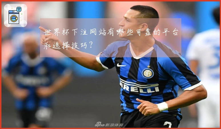 世界杯下注网站有哪些可靠的平台和选择技巧？