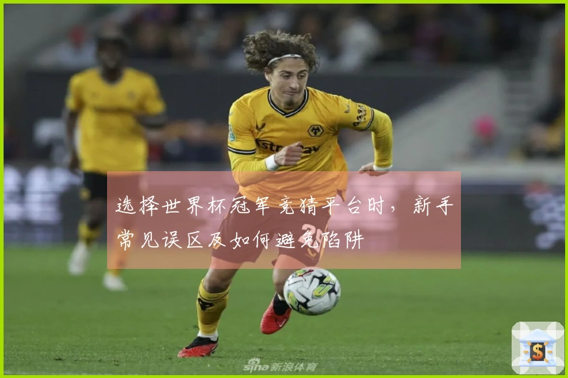 选择世界杯冠军竞猜平台时，新手常见误区及如何避免陷阱