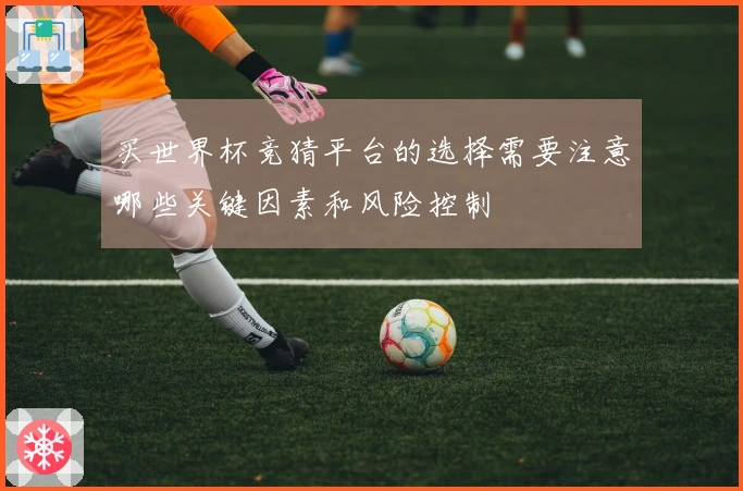 买世界杯竞猜平台的选择需要注意哪些关键因素和风险控制
