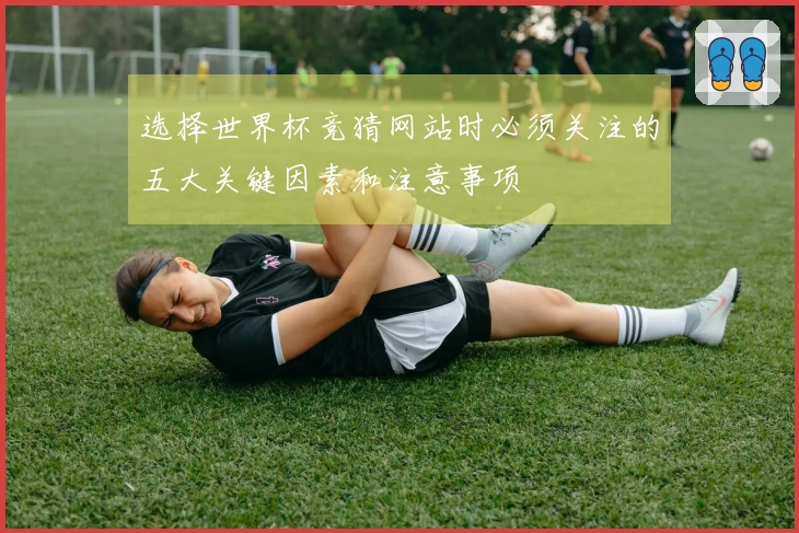 选择世界杯竞猜网站时必须关注的五大关键因素和注意事项