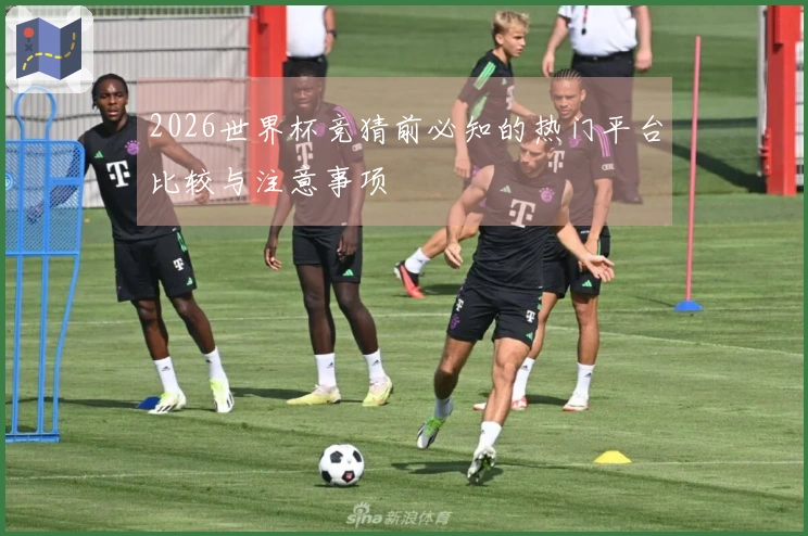 2026世界杯竞猜前必知的热门平台比较与注意事项