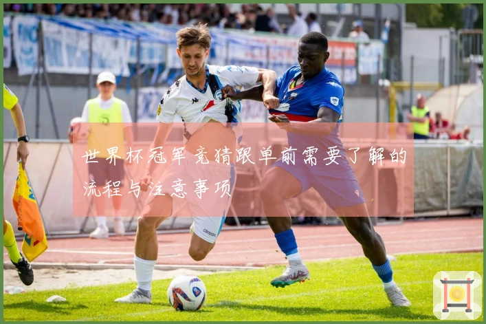 世界杯冠军竞猜跟单前需要了解的流程与注意事项