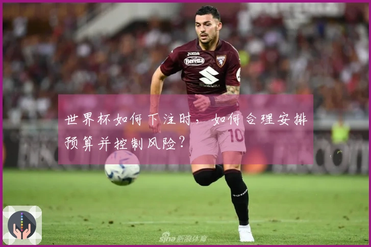 世界杯如何下注时，如何合理安排预算并控制风险？