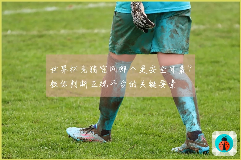 世界杯竞猜官网哪个更安全可靠？教你判断正规平台的关键要素