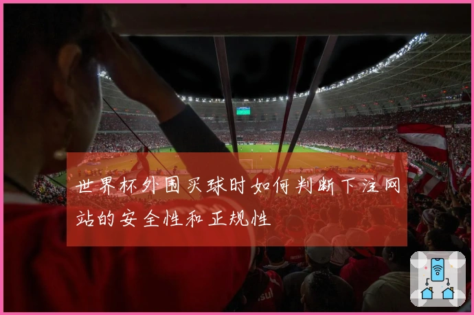 世界杯外围买球时如何判断下注网站的安全性和正规性